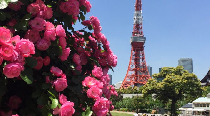 東京タワーとバラ