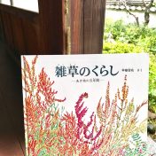 甲斐信枝・作　「雑草のくらし」　福音館書店