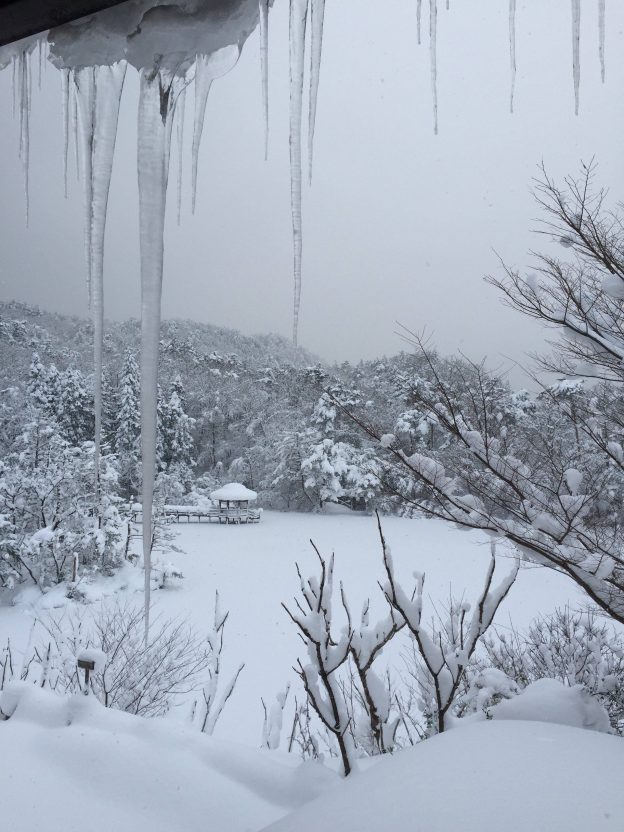 雪