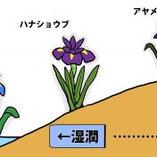 図1　生育環境