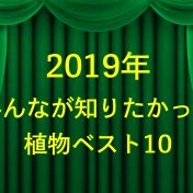 2019年みんなが知りたかった植物ベスト10