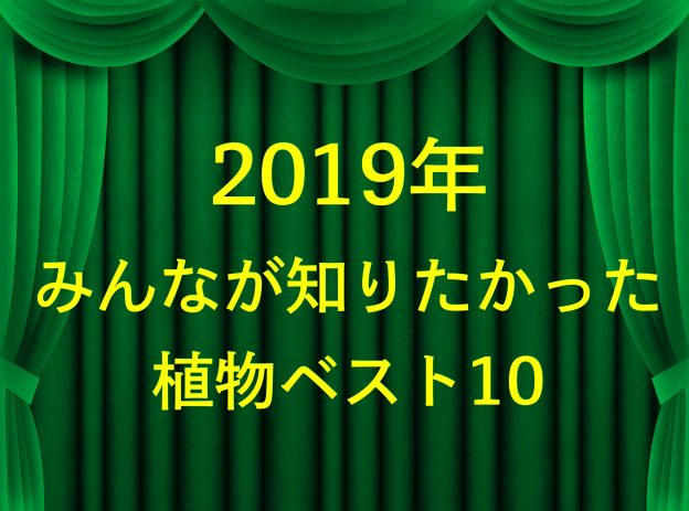 2019年みんなが知りたかった植物ベスト10