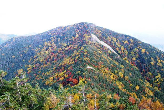 甲武信ヶ岳から木賊山（とくさやま）を望む