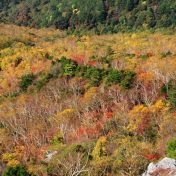 山頂直下：奥山窪方面（10月中旬）