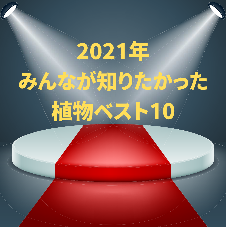 2021年 みんなが知りたかった 植物ベスト10